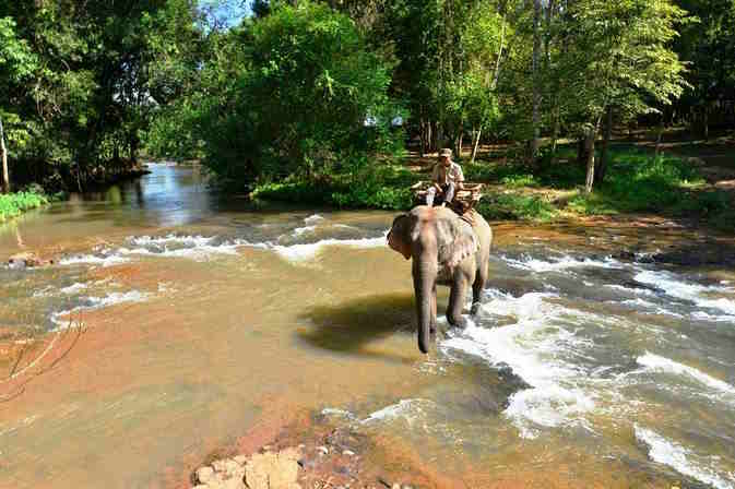 Le parc national de Virachey dans la jungle de Ratanakiri
